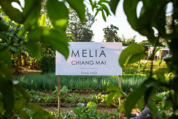 Meliá Chiang Mai’s ‘360° Cuisine’ program