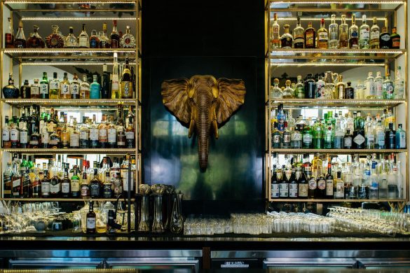 Elephant Bar