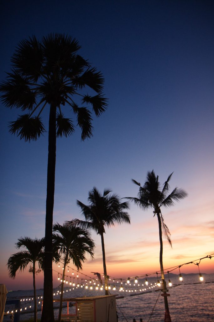 Beach palms, Pullman Pattaya Hotel G