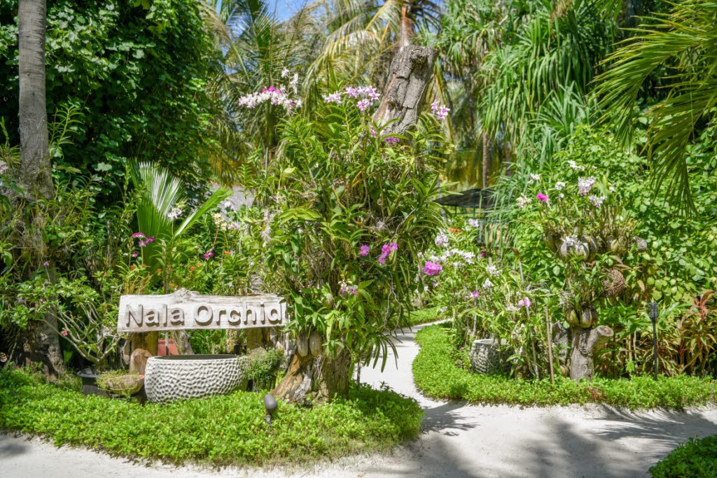 Anantara Kihavah Maldives Villlas, green spaces Nala Orchid Garden