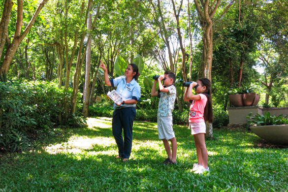 Banyan Tree Samui EarthCheck