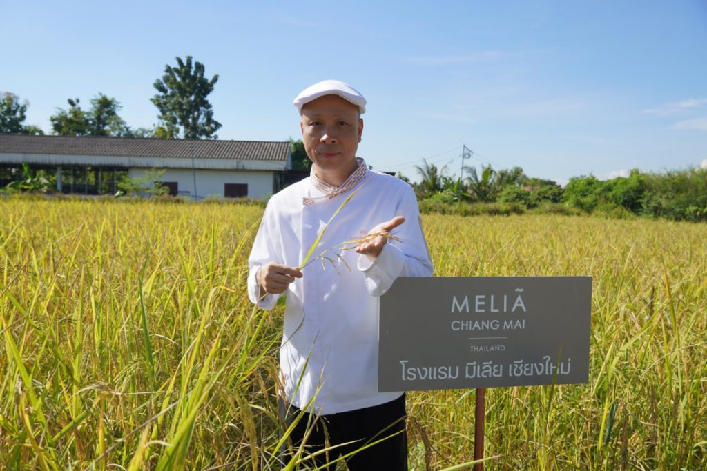 Rong Khum organic gourmet farm