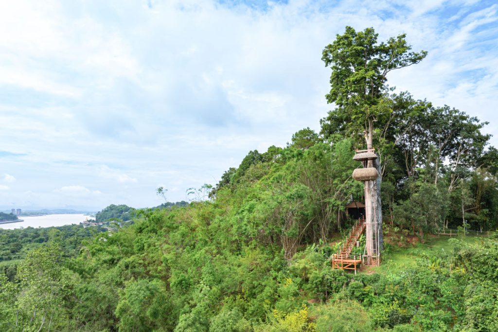 Anantara Golden Triangle Canopy dining 