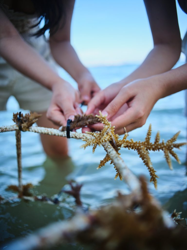 Meliá Nha Trang sustainability: Villa Le Corial coral protection/restoration