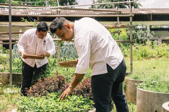 Hyatt farm produce
