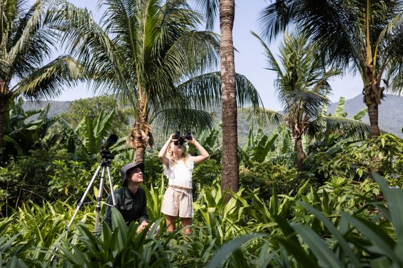 green season Danang experiences, kids activity nature exploration