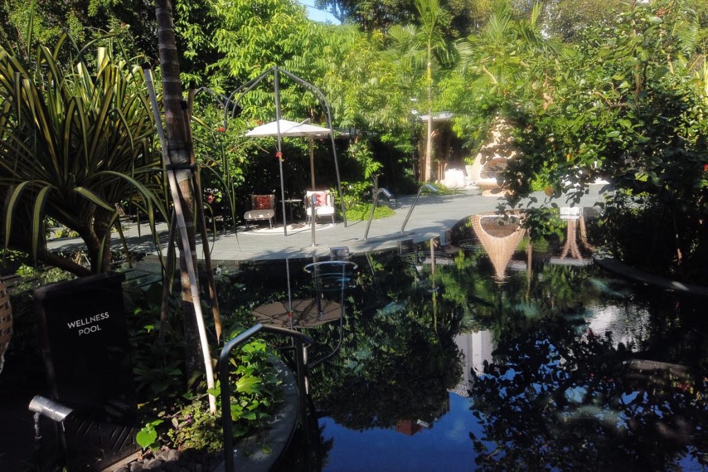 Oasis pool garden