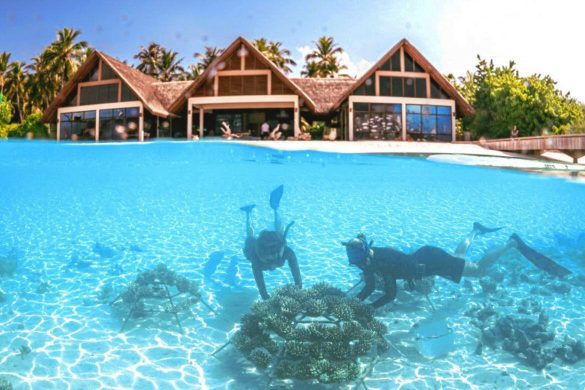 Four Seasons Maldives snorkeling