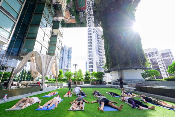 A Pan Pacific Orchard 9D Breathwork collaboration
