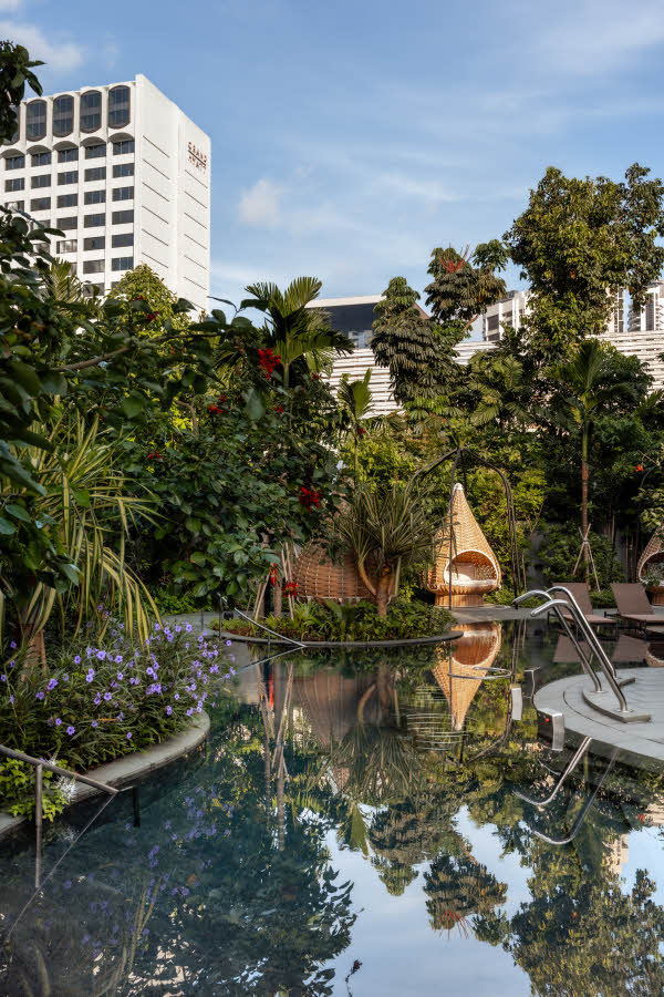 Grand Hyatt Singapore wellness pool