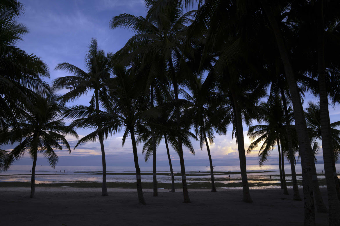 South-Palms-Resort-Spa-Panglao-beach-palms Bohol Philippines MGallery resort beach palms