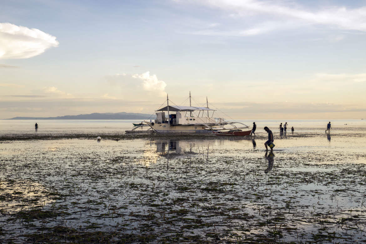 South-Palms-Resort-Spa-Panglao-sea Bohol beach