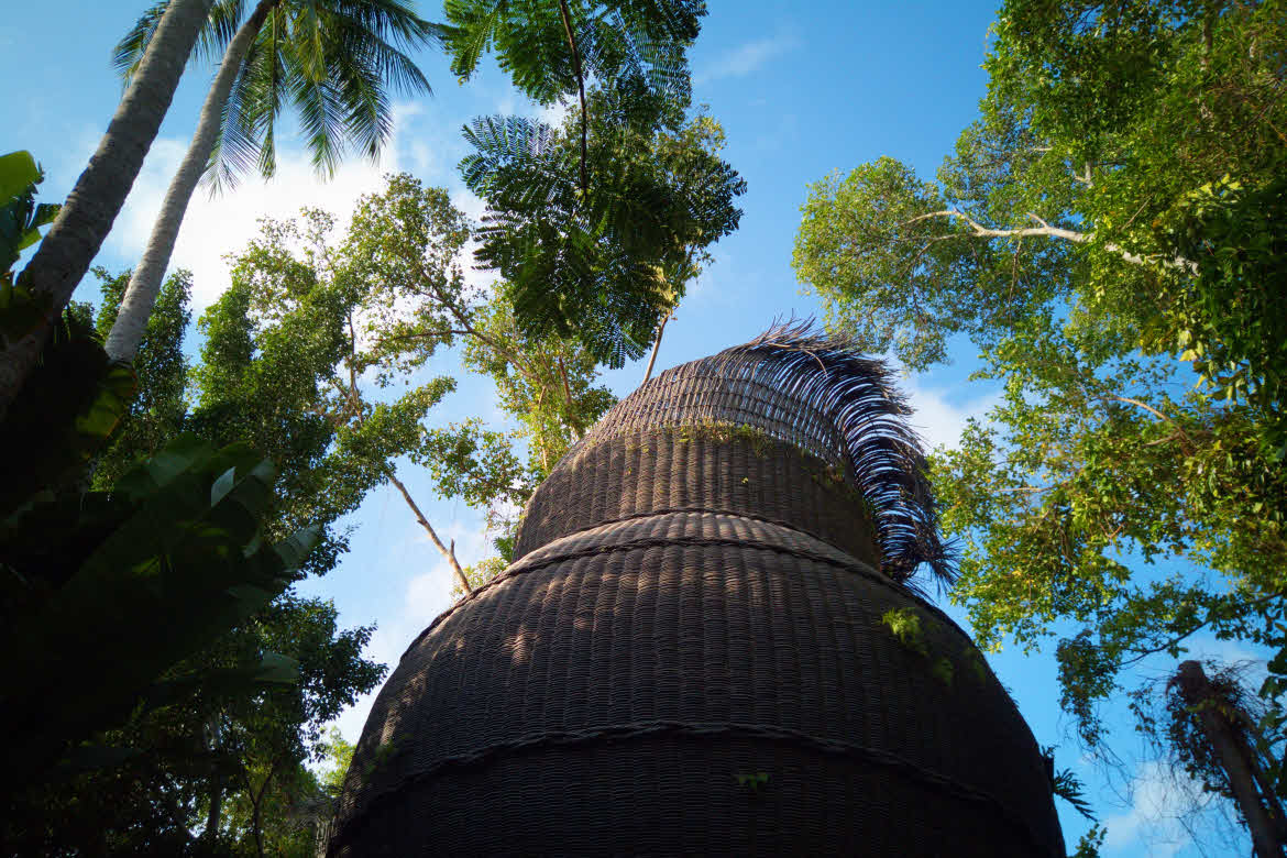 The-Slate-Spa-trees Coqoon Spa