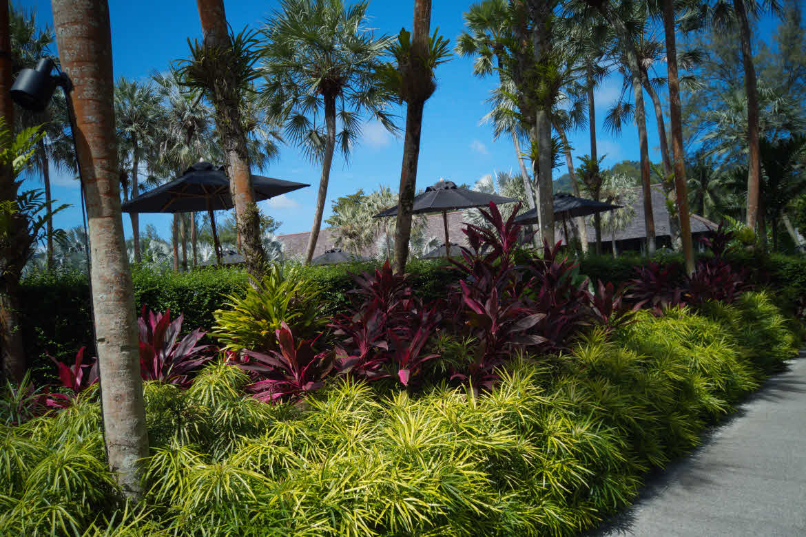 The-Slate-landscaping The Slate Phuket landscaping