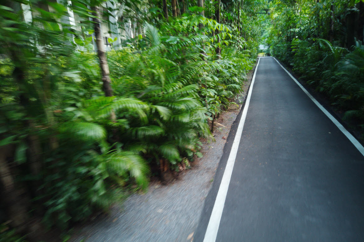 The-Slate-walkway Slate Phuket team building: walkway