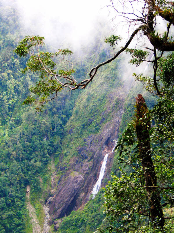 Kota Kinabalu national park