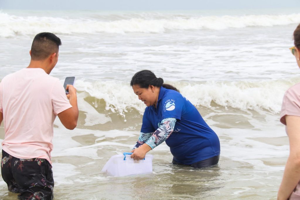 Bamboo baby shark release: JW Marriott Khao Lak Resort & Spa