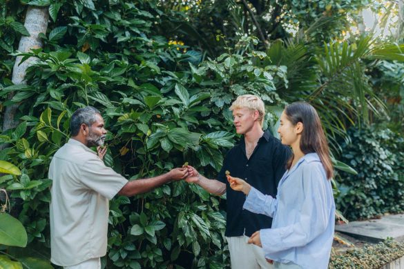 Island tour botanical garden, the Westin Maldives