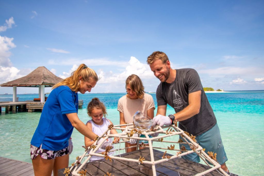 Coral planting, Sheraton Maldives