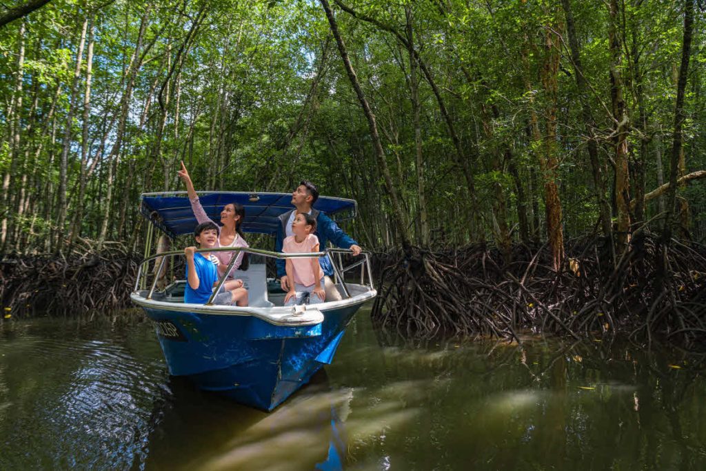 Mangroves tour, Anantara Desaru Coast Resort & Villas